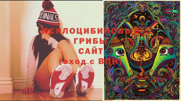 стаф Пересвет