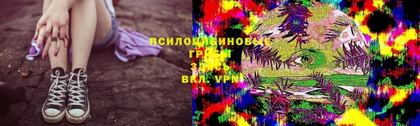гидропоника Алзамай